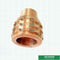 Προσαρμοσμένα σχεδίων χαλκού ενθέτων ένθετα ορείχαλκου Ppr αρσενικά με το χρώμα ορείχαλκου Shinning