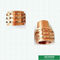 Προσαρμοσμένα σχεδίων χαλκού ενθέτων ένθετα ορείχαλκου Ppr αρσενικά με το χρώμα ορείχαλκου Shinning