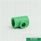 Πράσινο χρώμα τοποθετήσεων σωληνώσεων ρίψης Ppr, έγκριση Ppr CE Iso9001 που μειώνει το γράμμα Τ